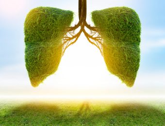 Illustration of lung tree (Environment and Medicine)